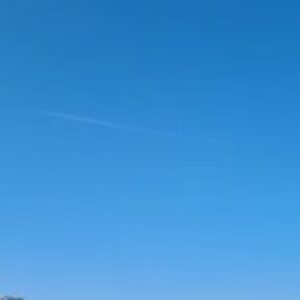 Profile photo of Montana